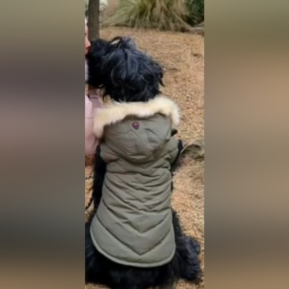 Pajar Pup Coat with hood XXL - Picture 16 of 16